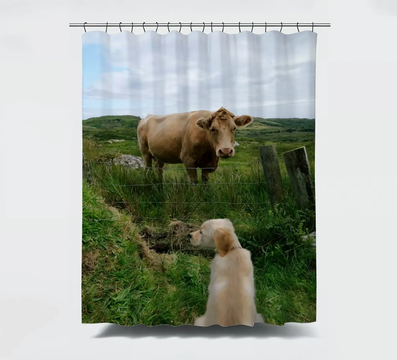 Uno sguardo curioso oltre la recinzione tenda da doccia da The Wild Creative Studio