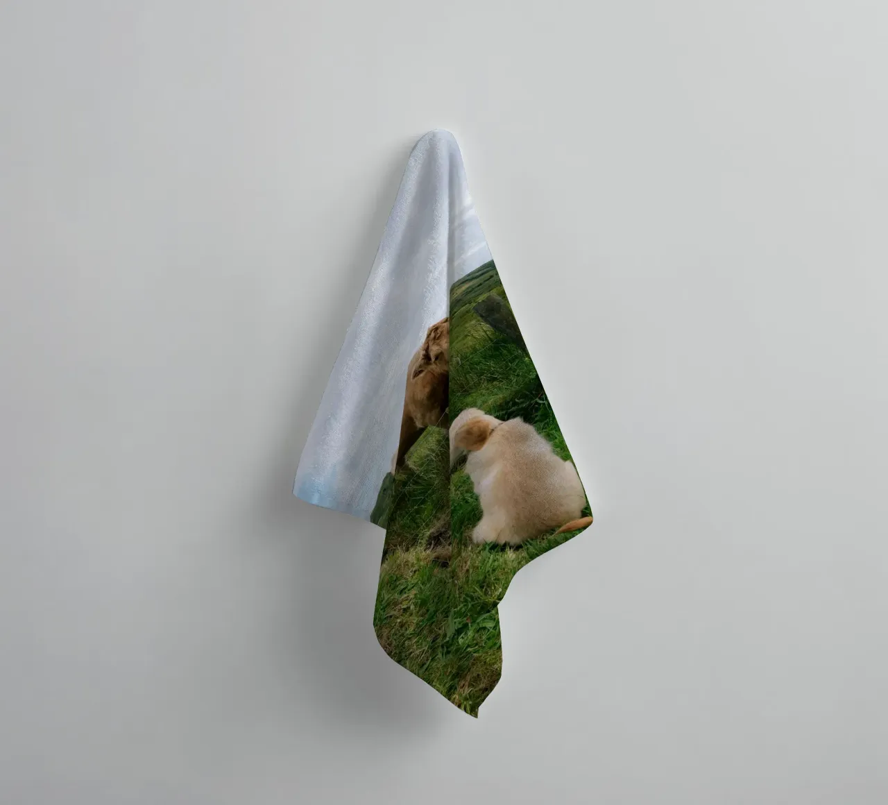 Uno sguardo curioso oltre la recinzione asciugamano da bagno da The Wild Creative Studio