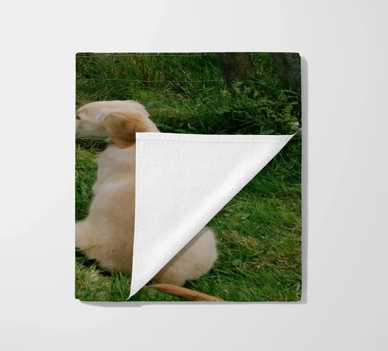 Uno sguardo curioso oltre la recinzione telo mare da The Wild Creative Studio