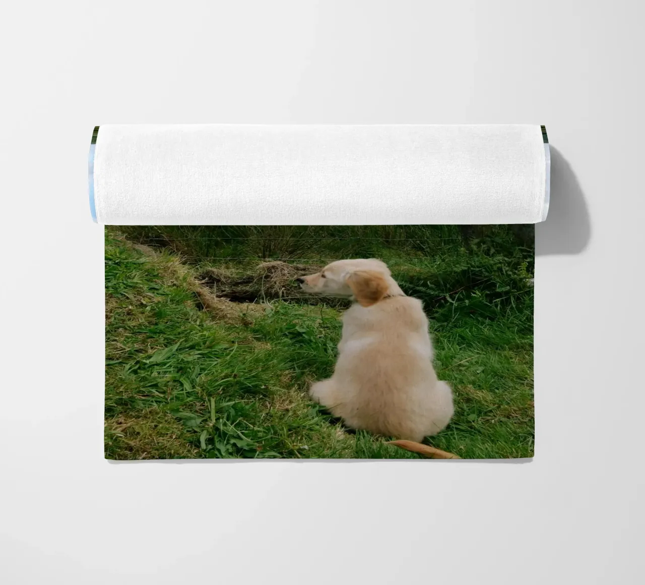 Uno sguardo curioso oltre la recinzione telo mare da The Wild Creative Studio