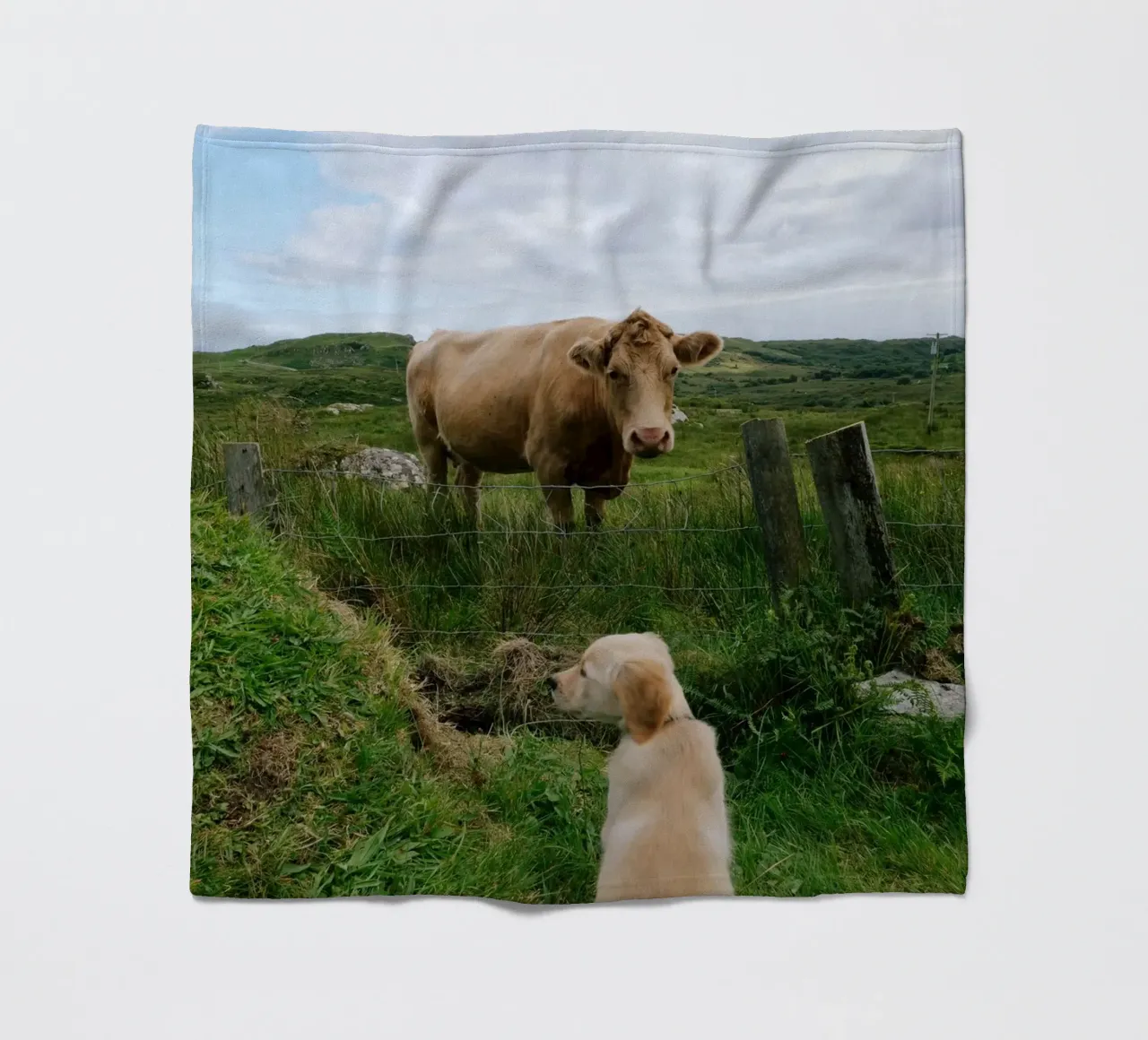 Uno sguardo curioso oltre la recinzione coperta in pile da The Wild Creative Studio