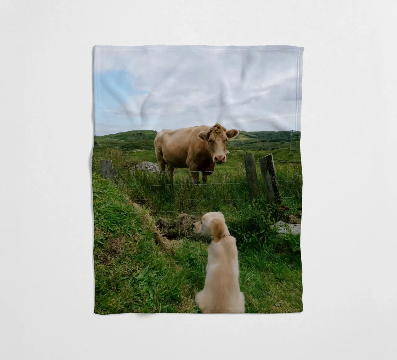 Uno sguardo curioso oltre la recinzione coperta in pile da The Wild Creative Studio