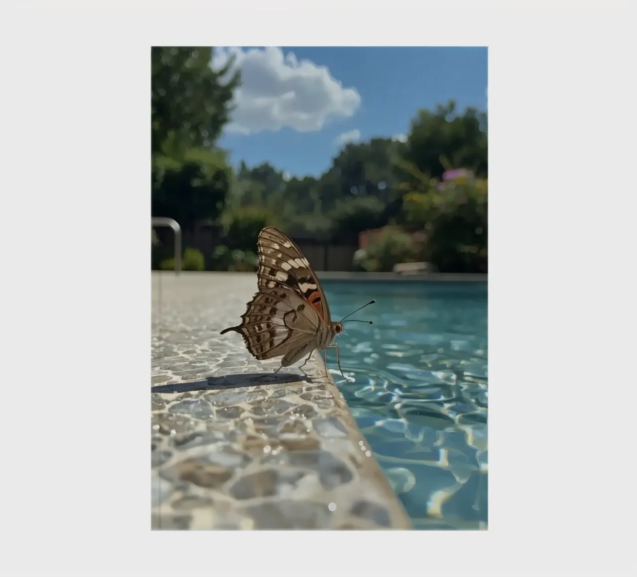 Butterfly on Tiled Pool Edge notebook by DesignDoodle
