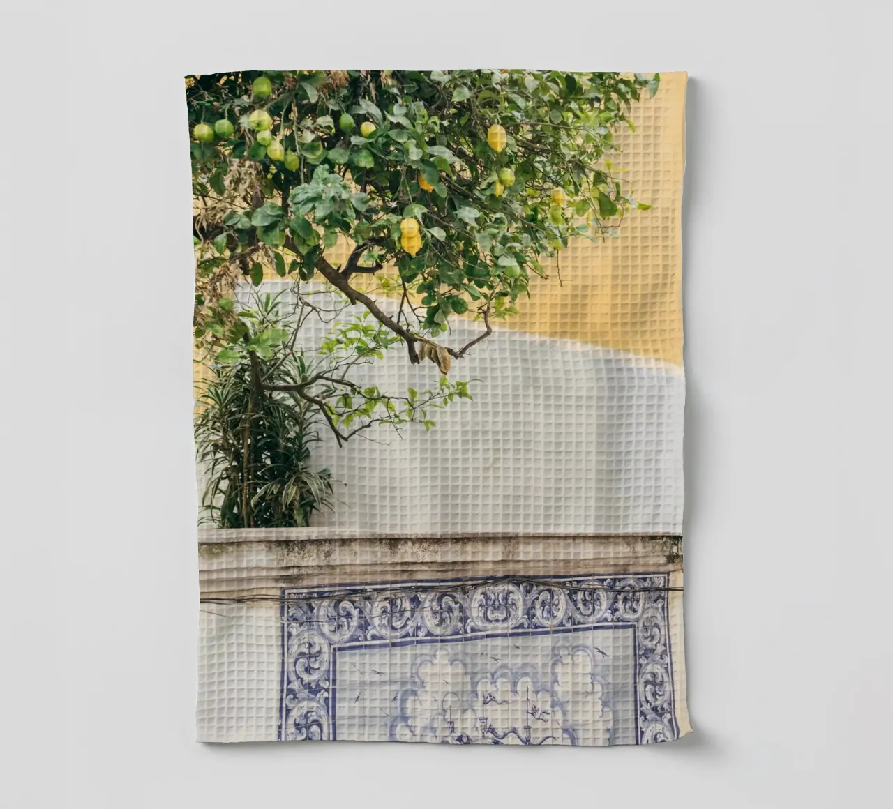 Lisbon Lemon Tree canovaccio da cucina da patiphotography