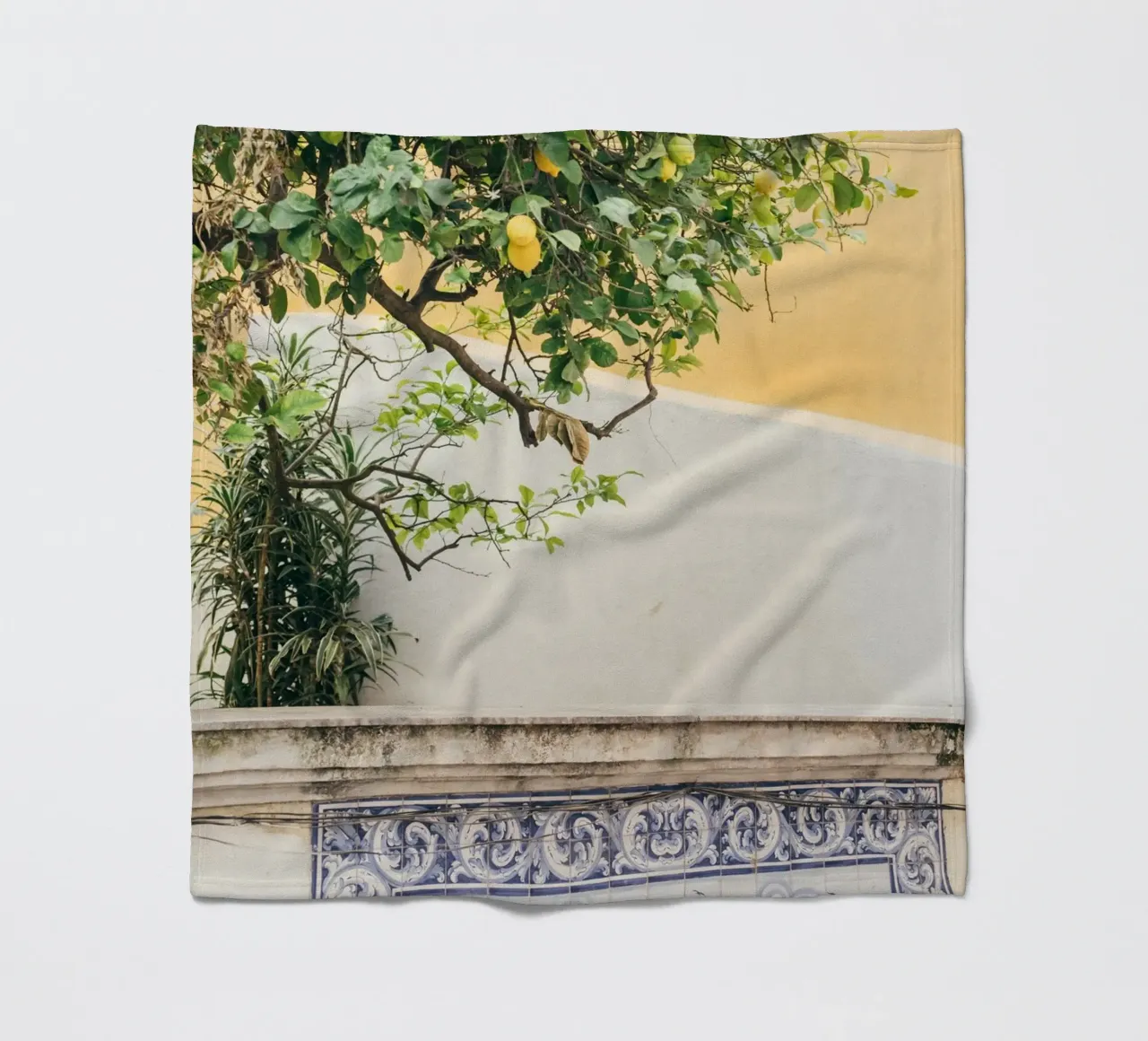 Lisbon Lemon Tree coperta in pile da patiphotography