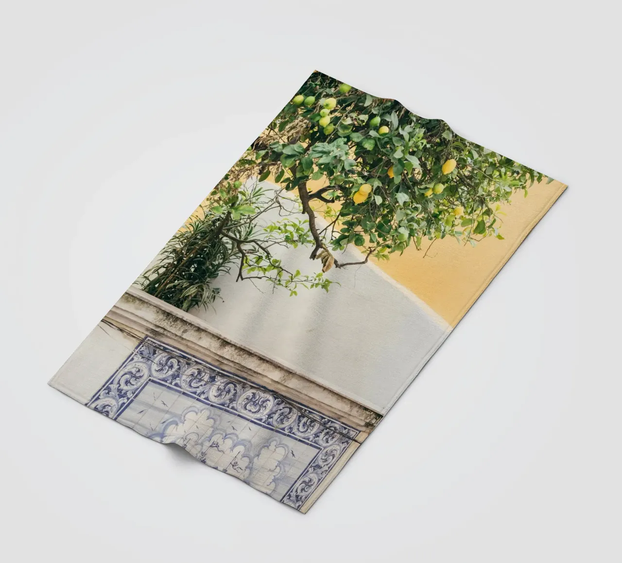 Lisbon Lemon Tree coperta in pile da patiphotography