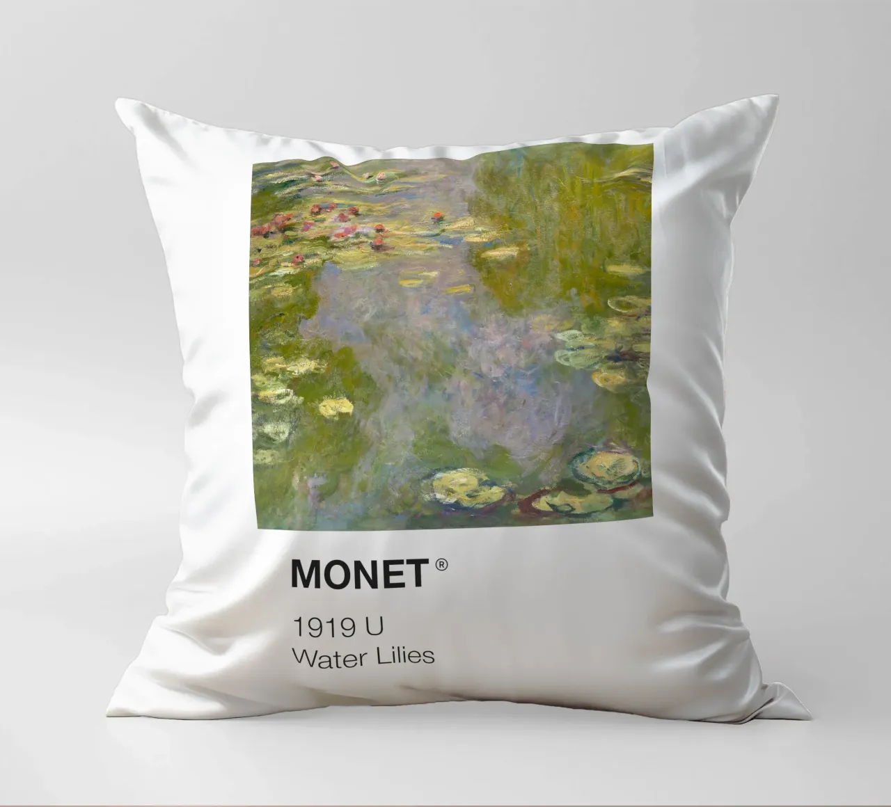 Pantone Monet cuscino da Vintagrafica