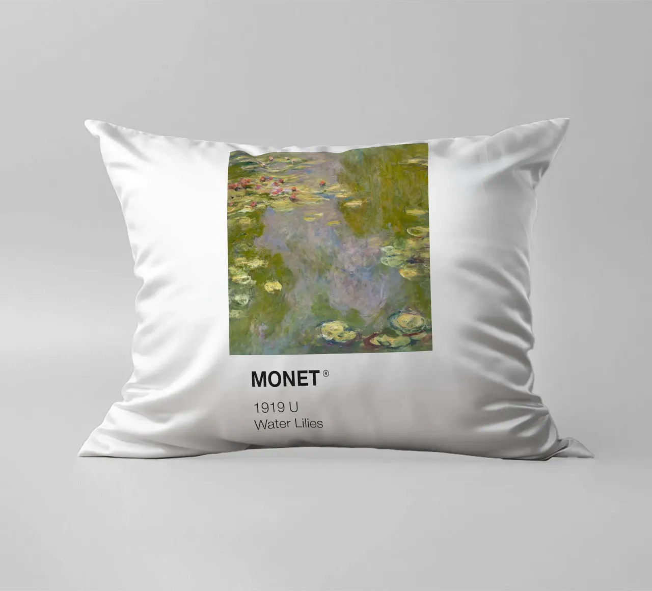 Pantone Monet cuscino da Vintagrafica
