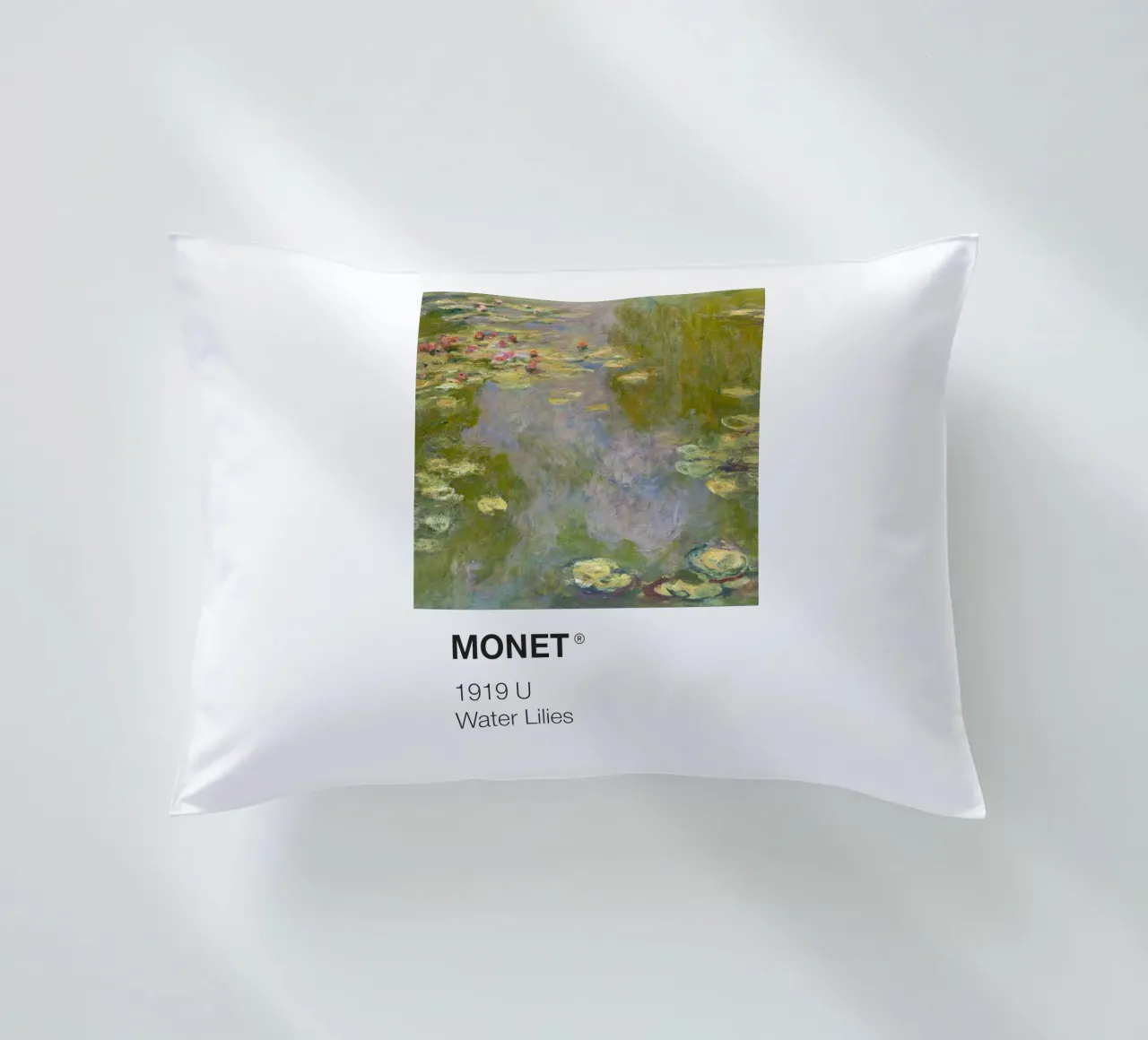 Pantone Monet cuscino da Vintagrafica