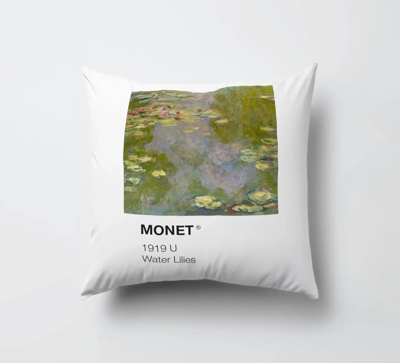 Pantone Monet cuscino da Vintagrafica