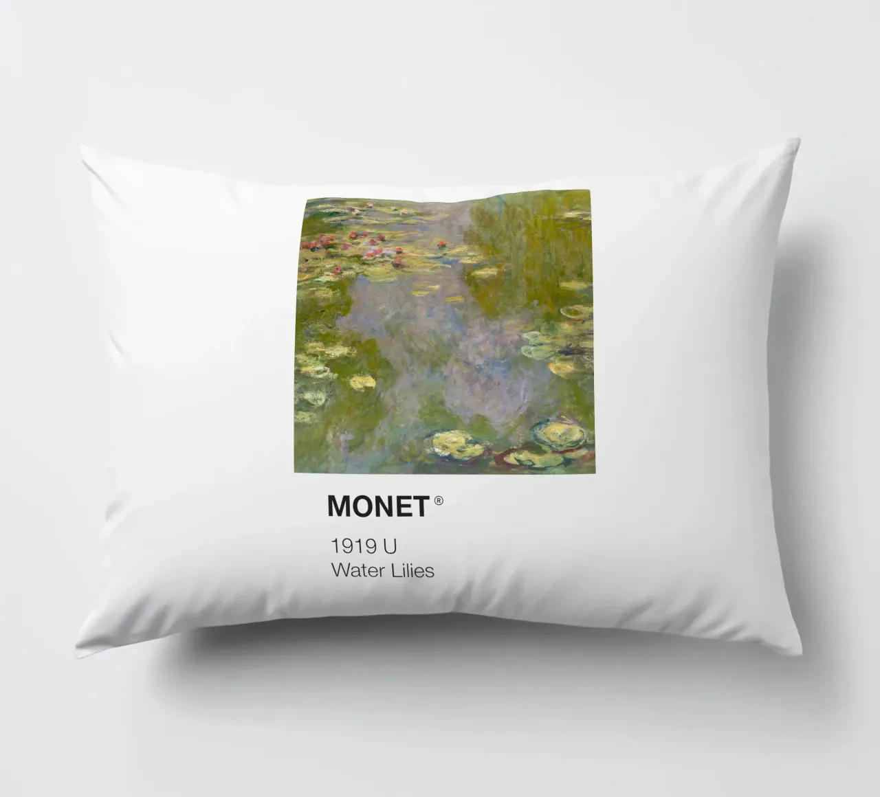 Pantone Monet cuscino da Vintagrafica