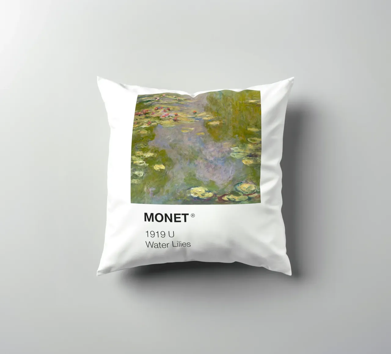 Pantone Monet cuscino da Vintagrafica