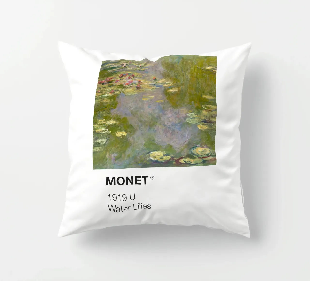 Pantone Monet cuscino da Vintagrafica