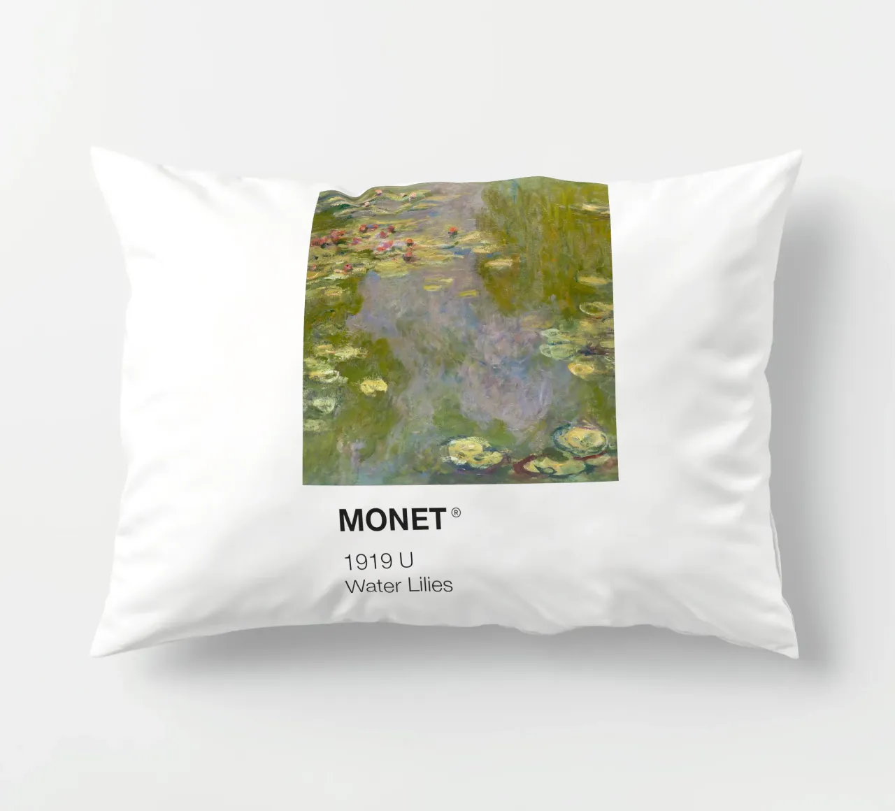 Pantone Monet cuscino da Vintagrafica