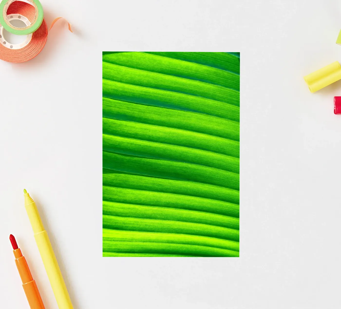 leaf green sticker by Earthly Visions