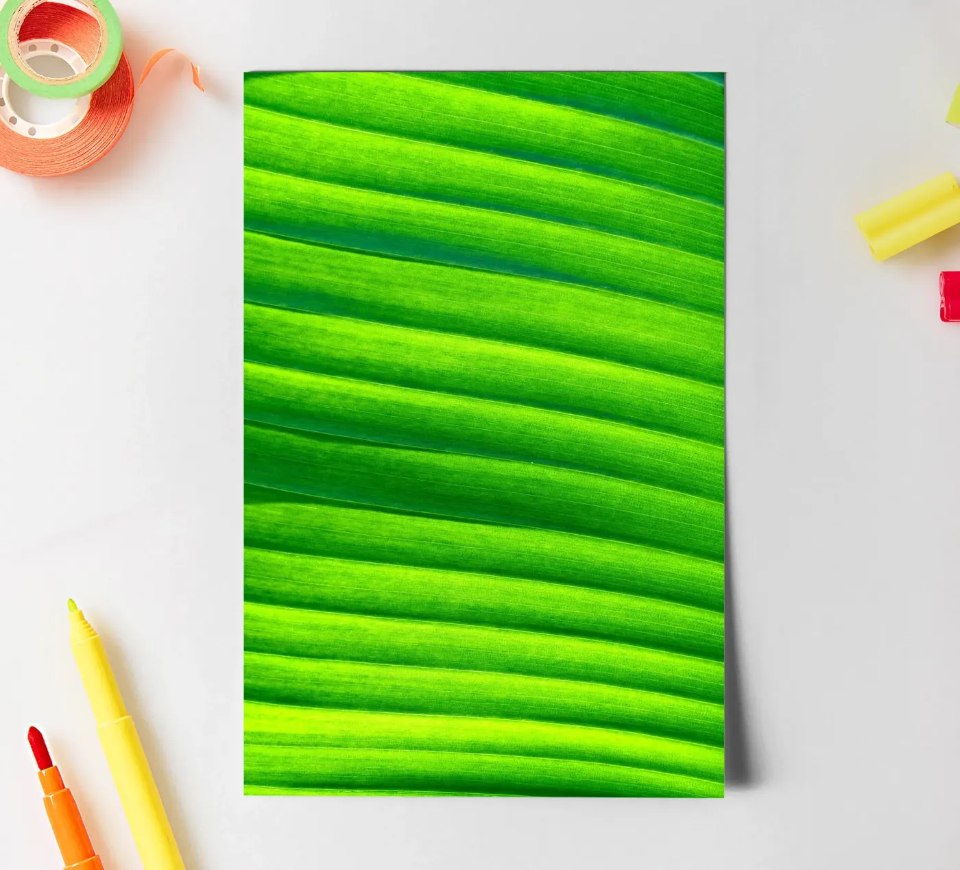 leaf green sticker sheet by Earthly Visions