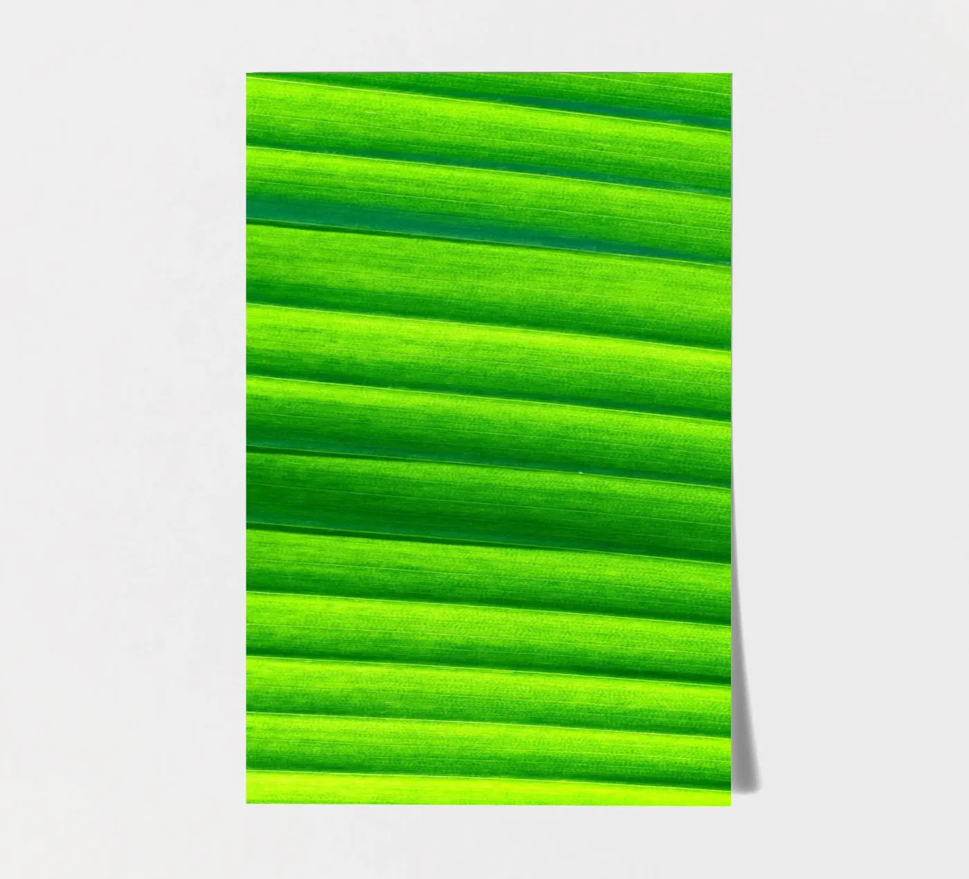 leaf green sticker sheet by Earthly Visions