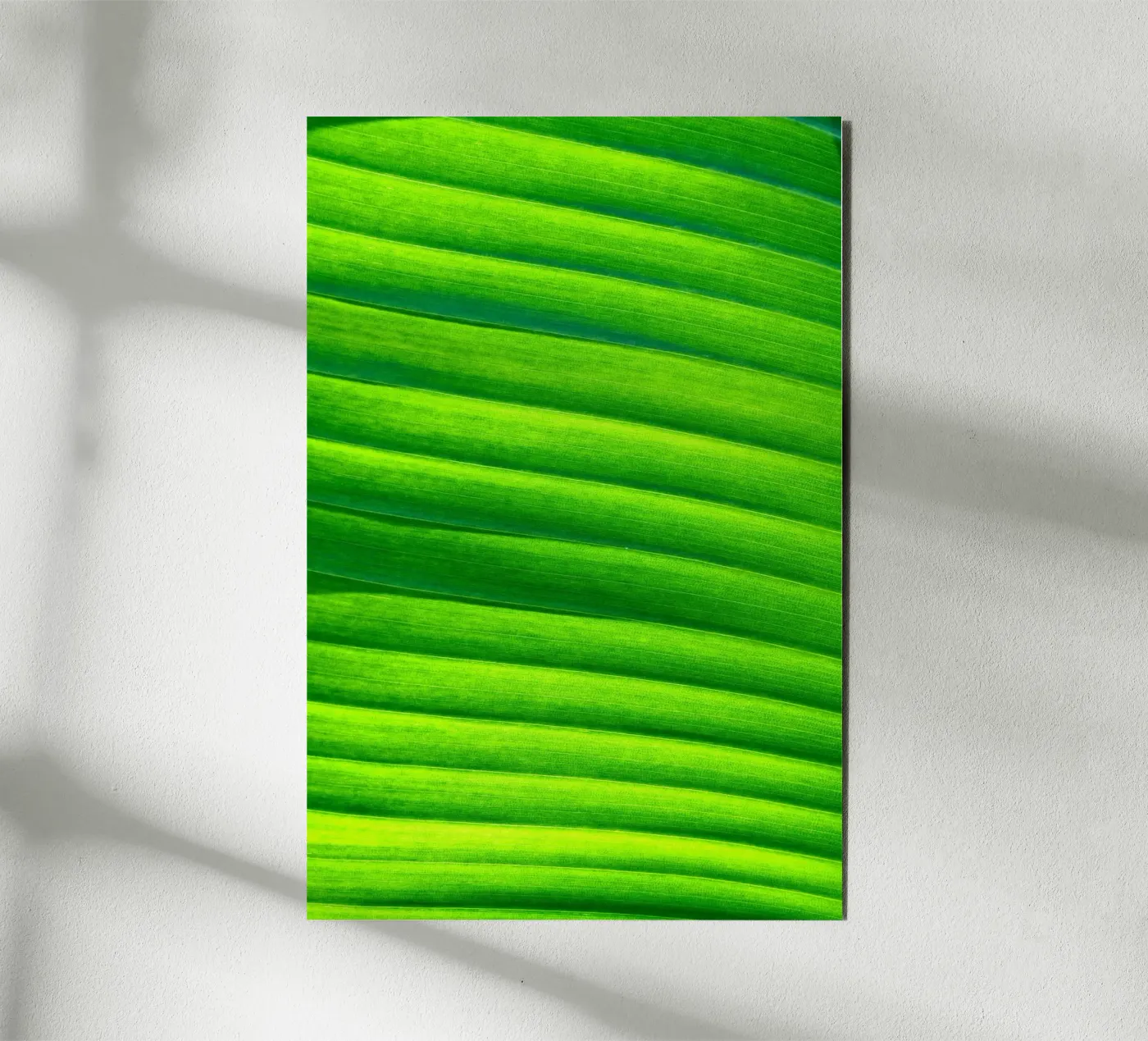 leaf green forex plate by Earthly Visions
