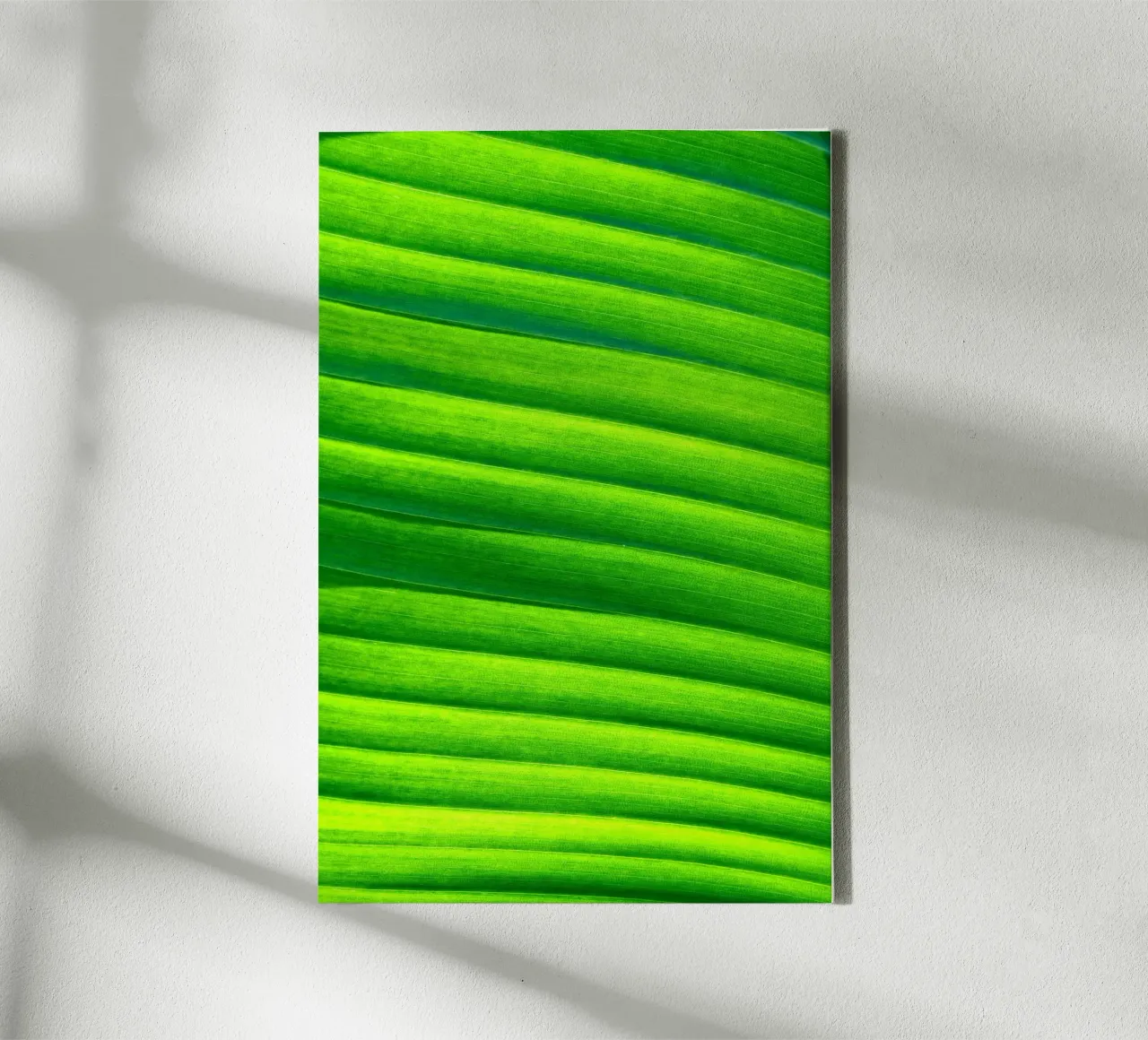 verde foglia tela con Cornice a cassetta da Earthly Visions