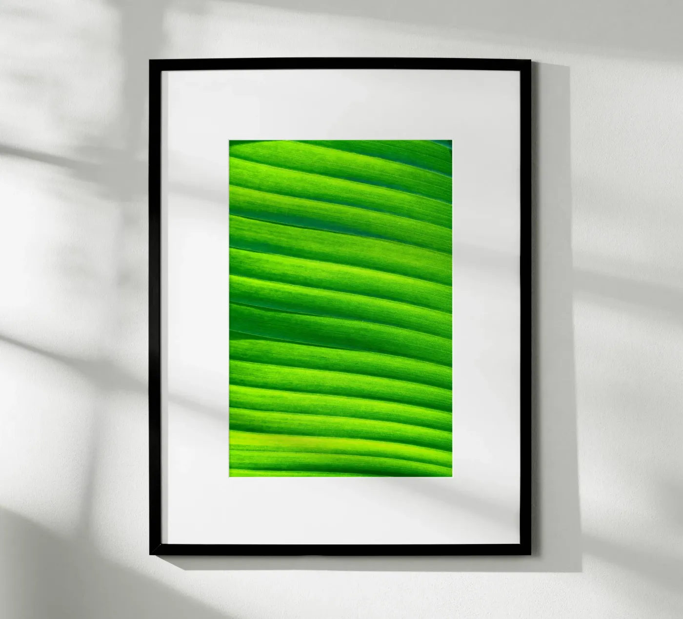 leaf green poster by Earthly Visions