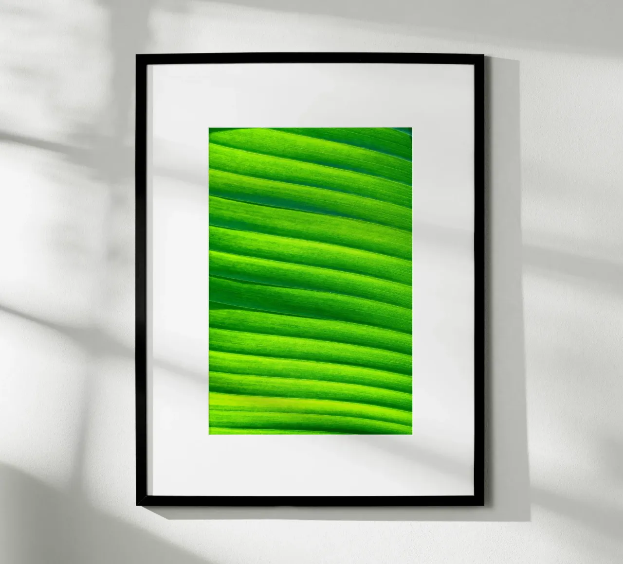leaf green poster by Earthly Visions