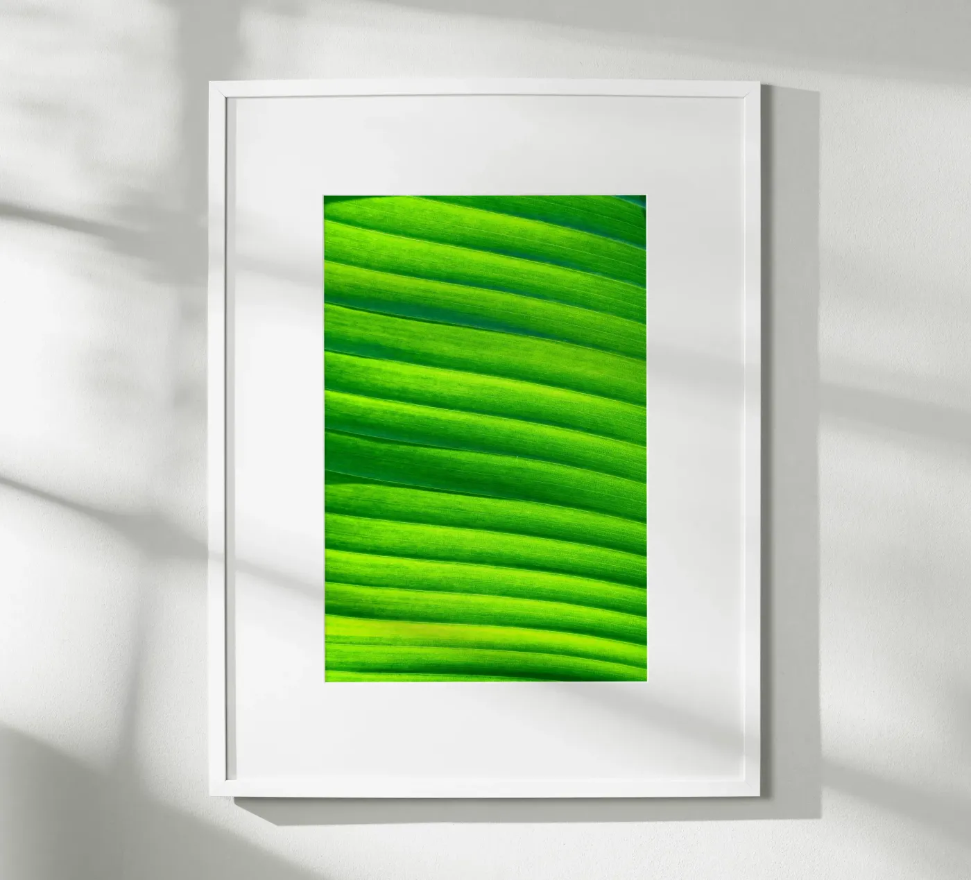 leaf green poster by Earthly Visions