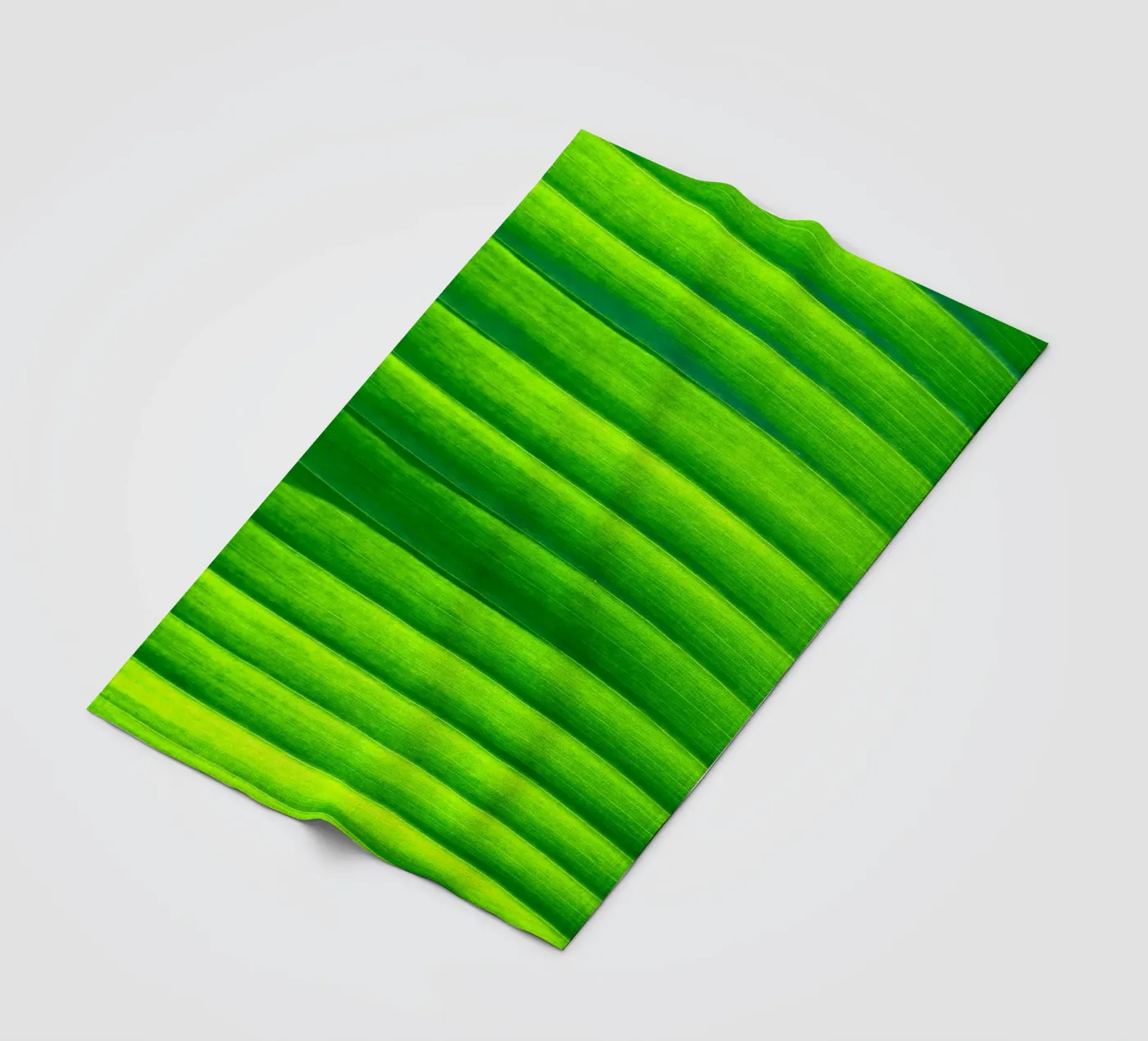 leaf green fleece blanket by Earthly Visions