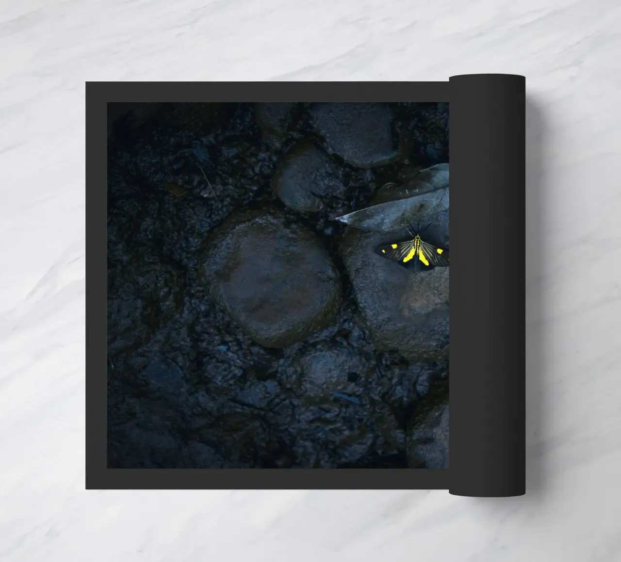 farfalla gialla zerbino da Earthly Visions