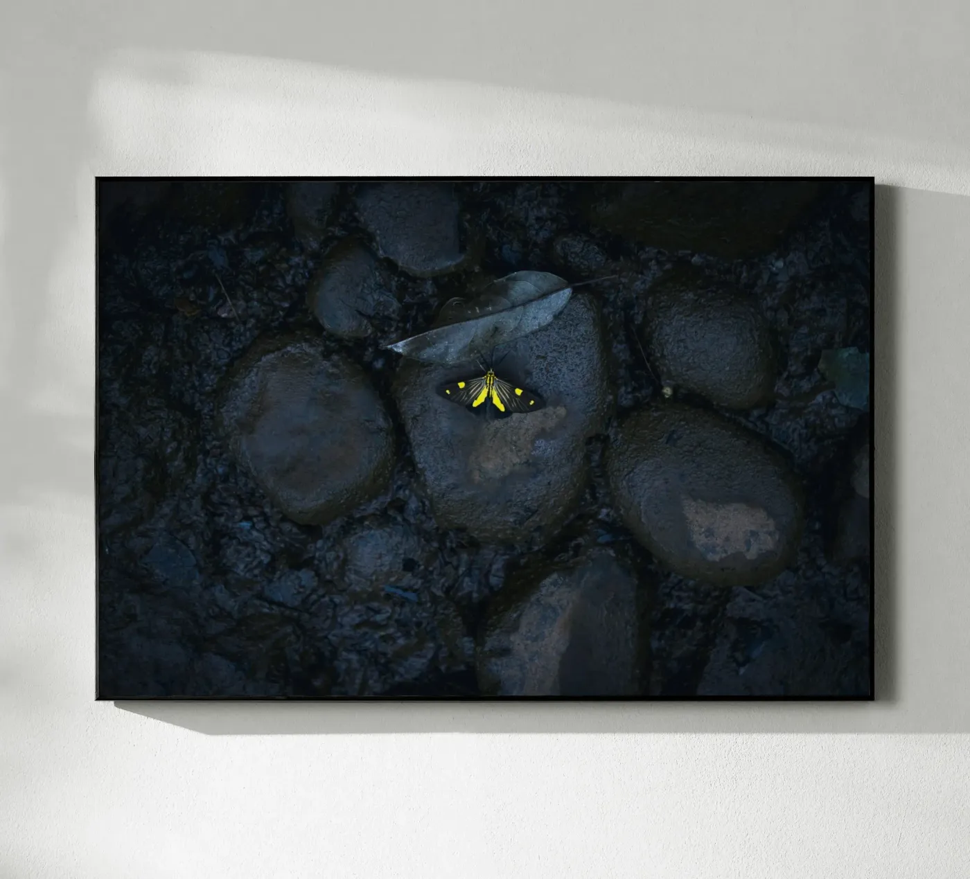 butterfly yellow Acryl-Glas von Earthly Visions