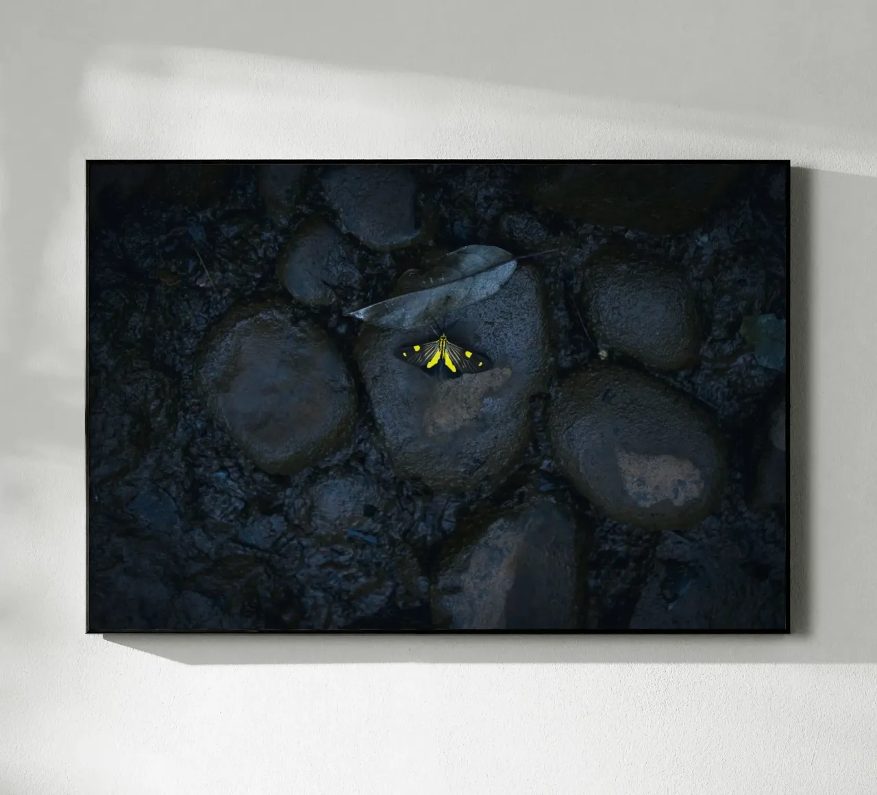 farfalla gialla plexiglass da Earthly Visions