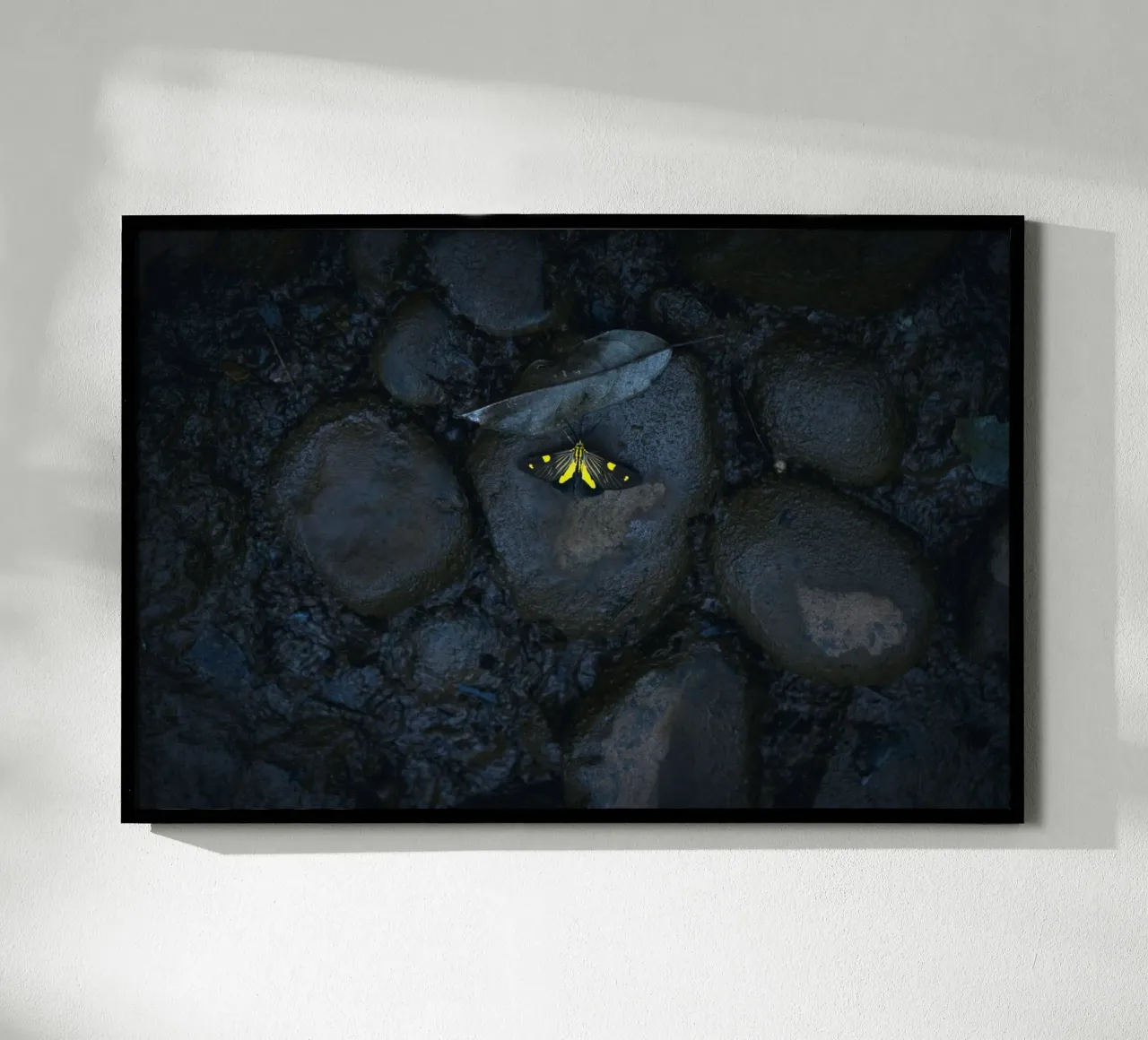 farfalla gialla poster con telaio in alluminio da Earthly Visions
