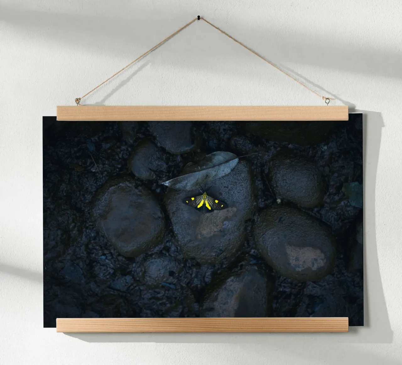 farfalla gialla poster con telaio in alluminio da Earthly Visions
