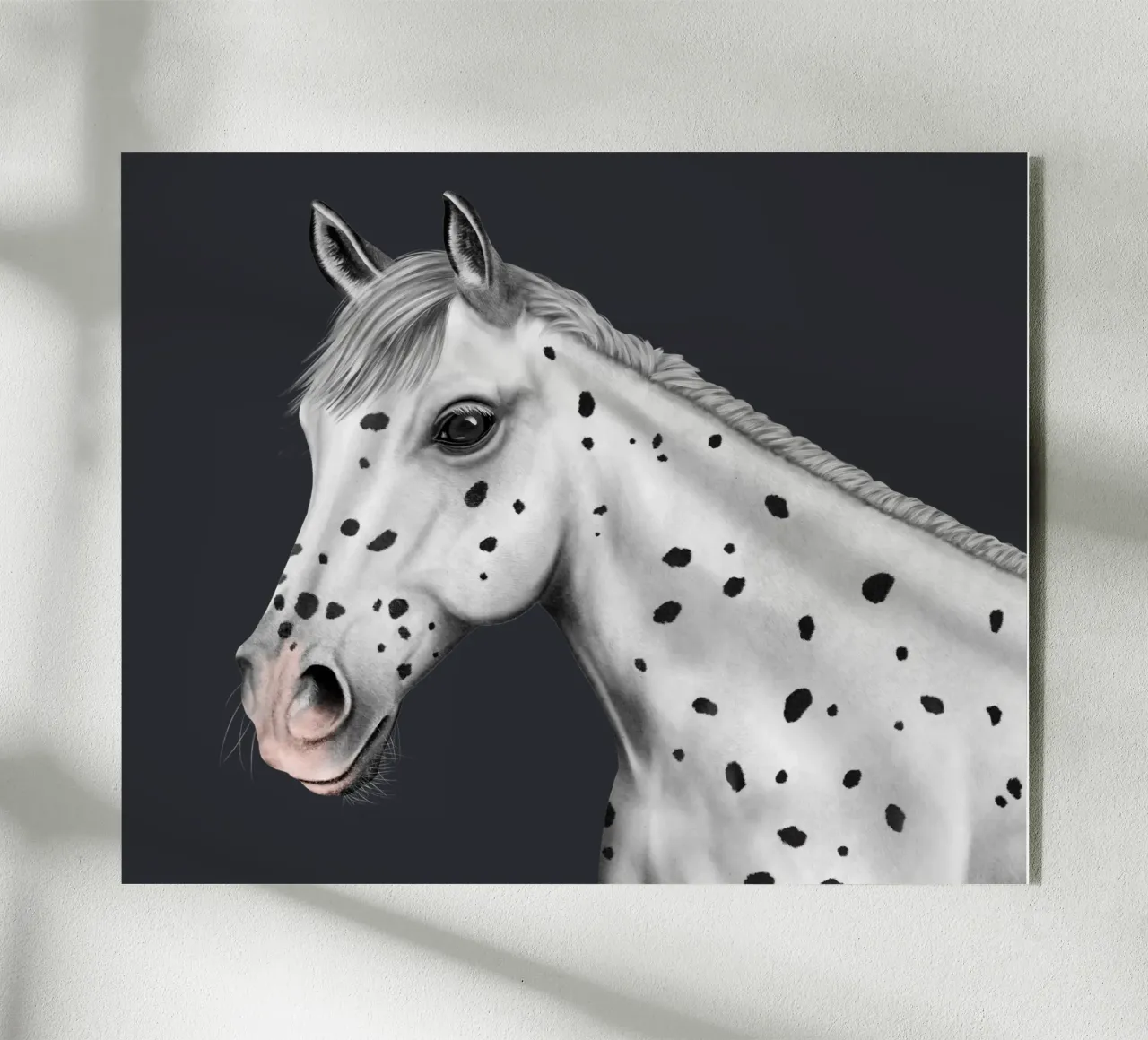 Pferde-Portrait • Knabstrupper plexiglass da Moonlit Illustrations