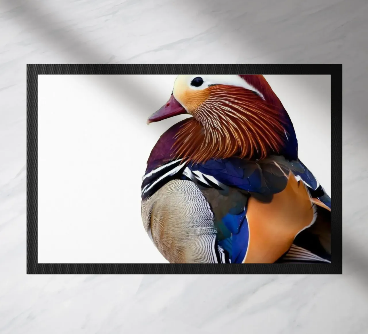 The Mandarin duck zerbino da Dumery Art