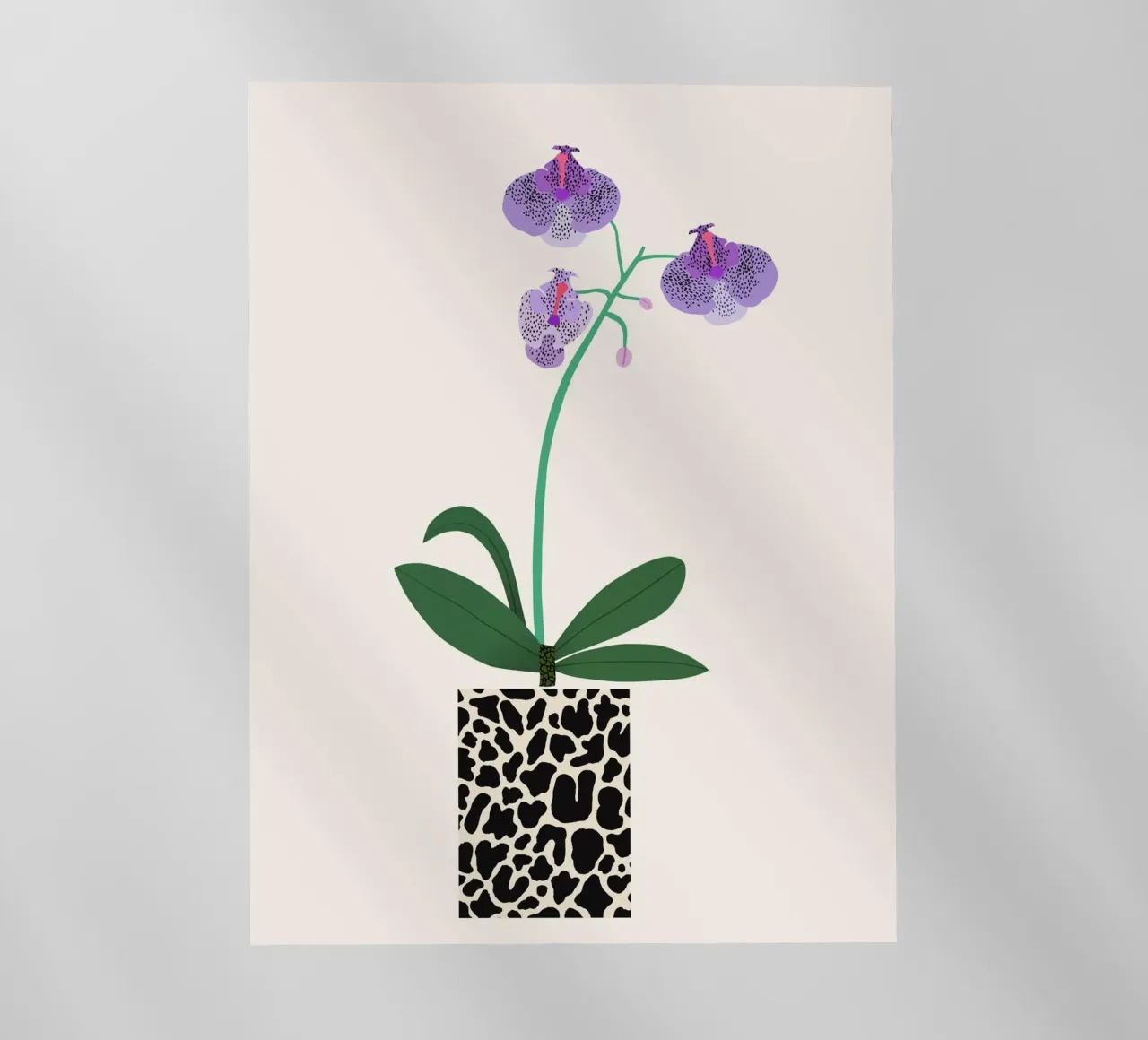 Orchidee pellicola backlit da Asha Designs
