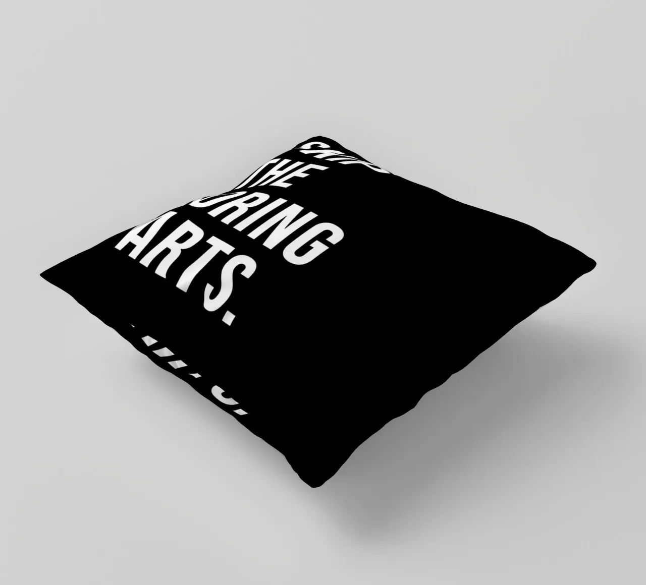 "SKIP THE BORING PARTS." cuscino da Type & Tape