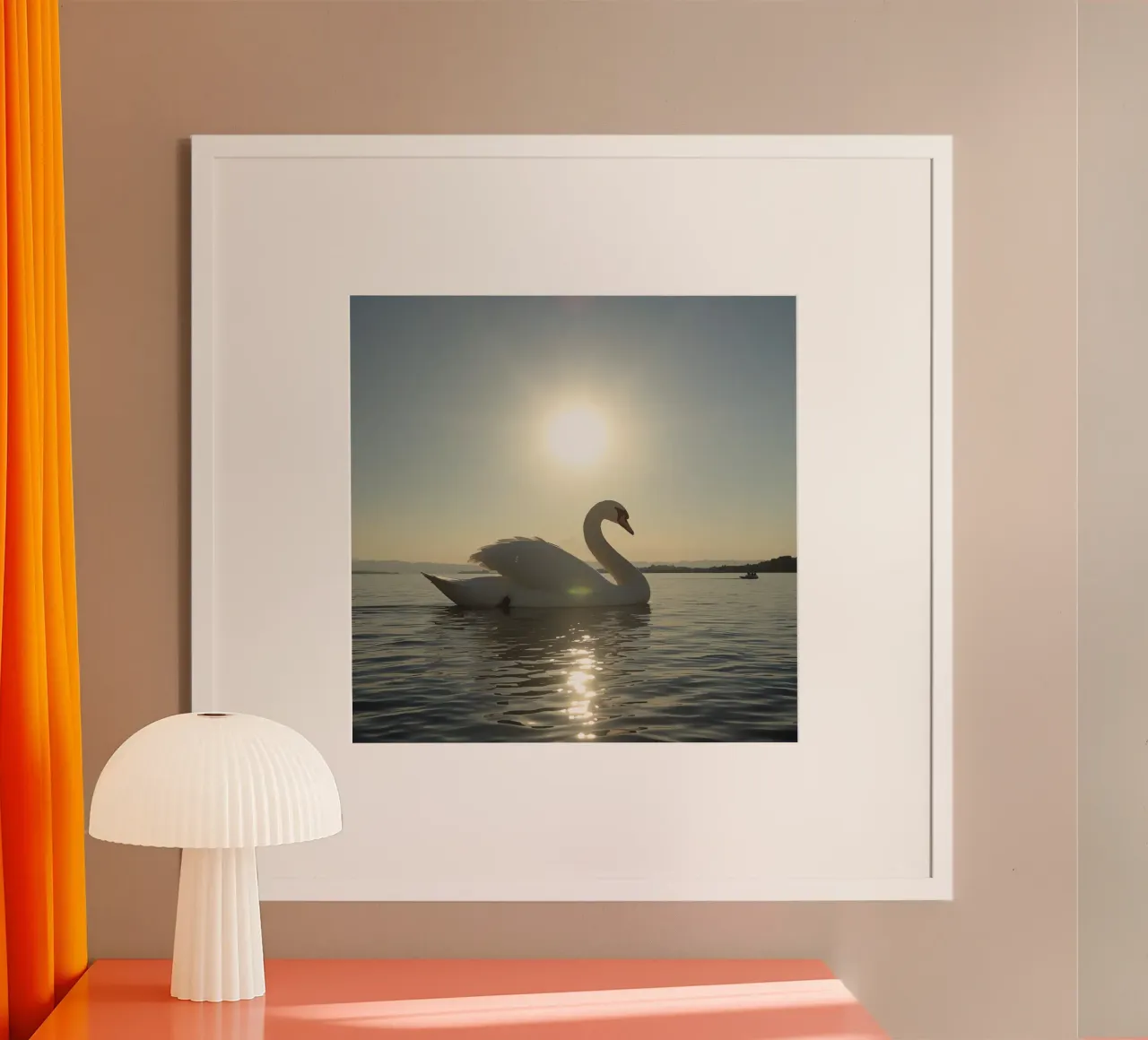 Cisne nadando en el agua al atardecer poster de DesignDoodle
