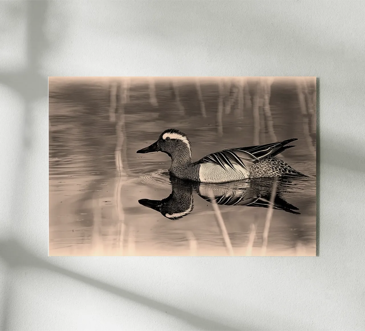 BW78 plexiglass da Thierry vobmann photography