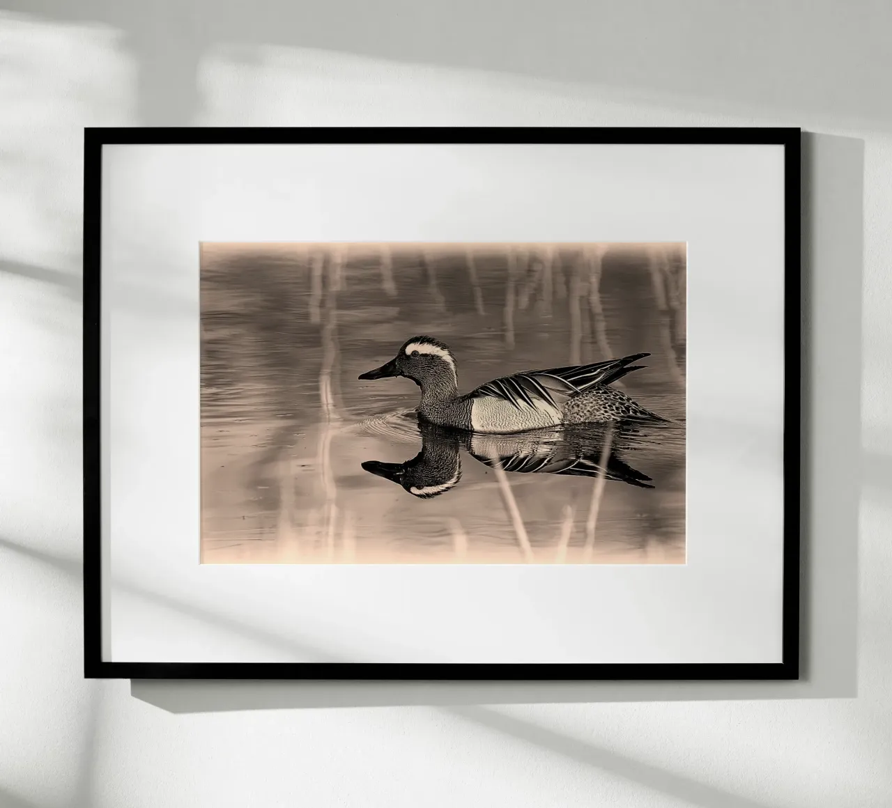 BW78 poster da Thierry vobmann photography