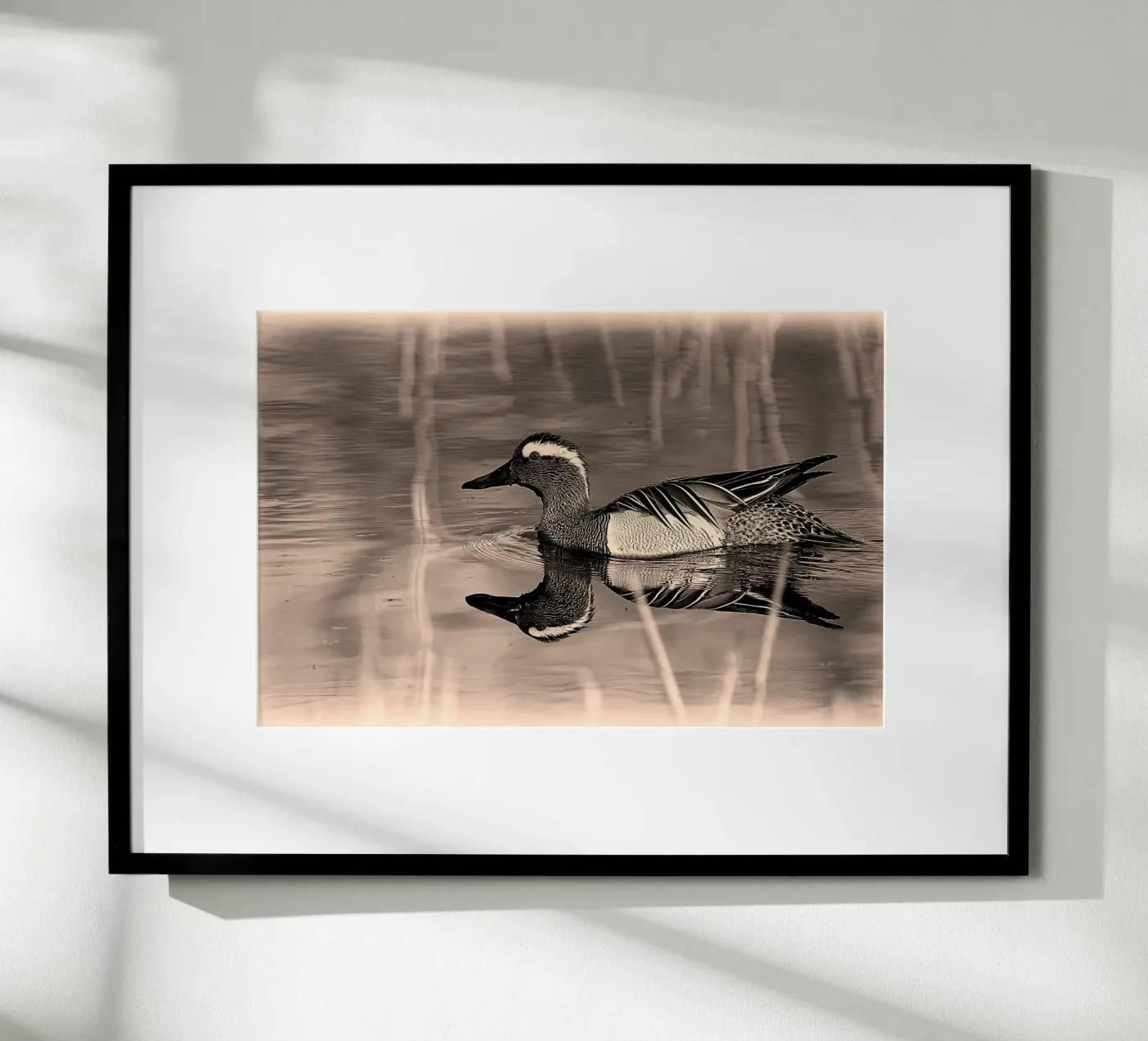 BW78 poster da Thierry vobmann photography