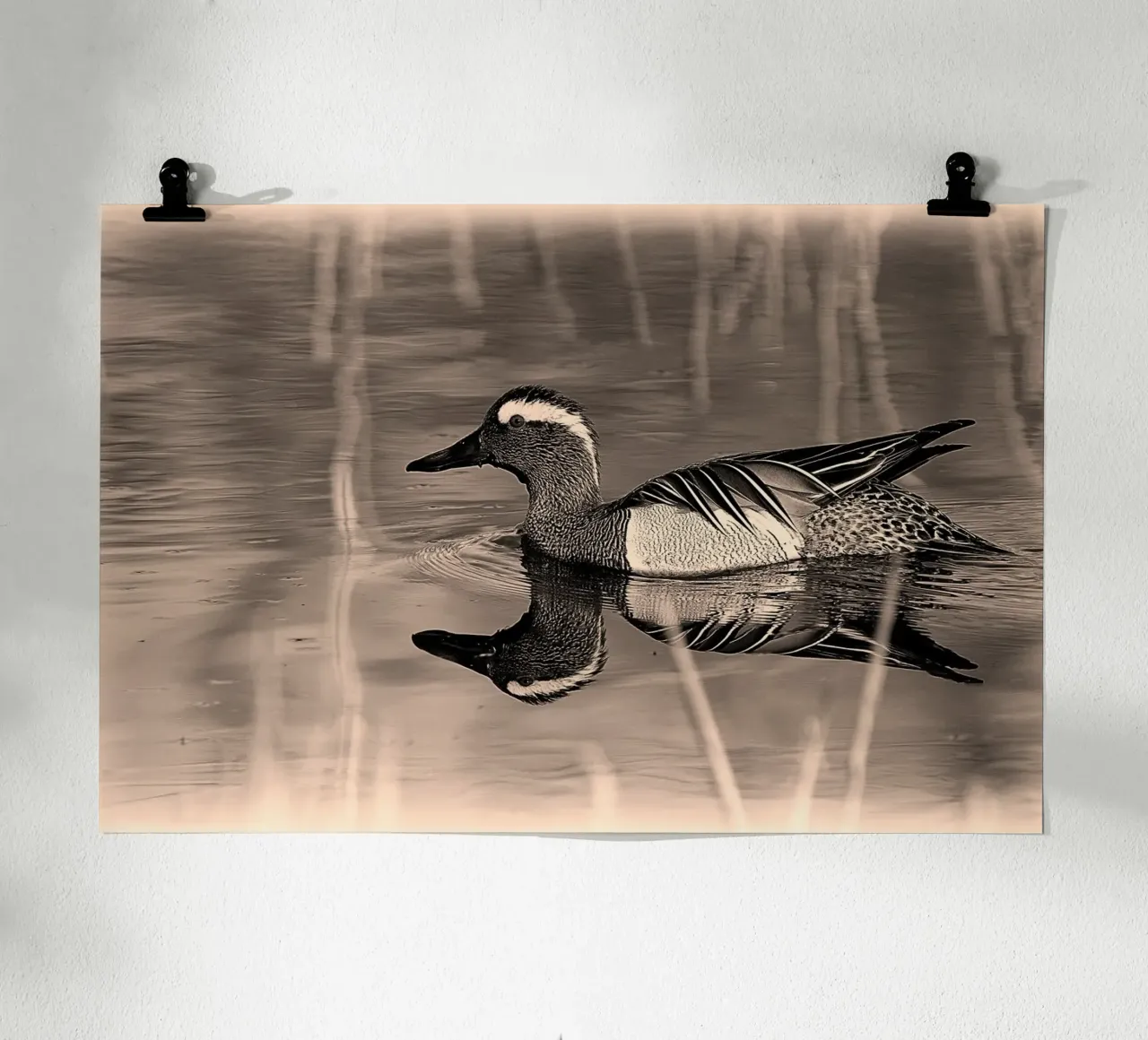 BW78 poster da Thierry vobmann photography