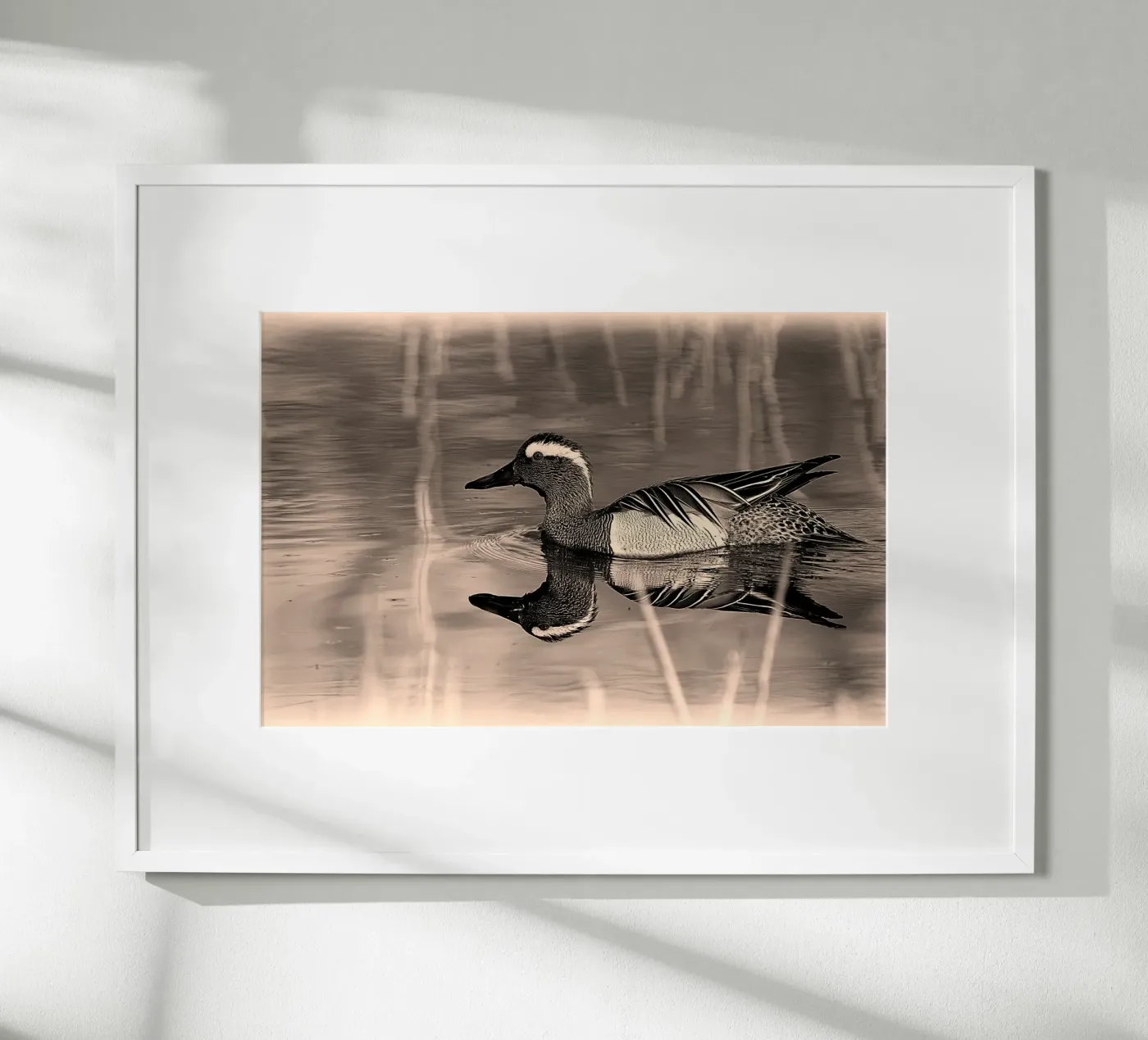 BW78 poster da Thierry vobmann photography