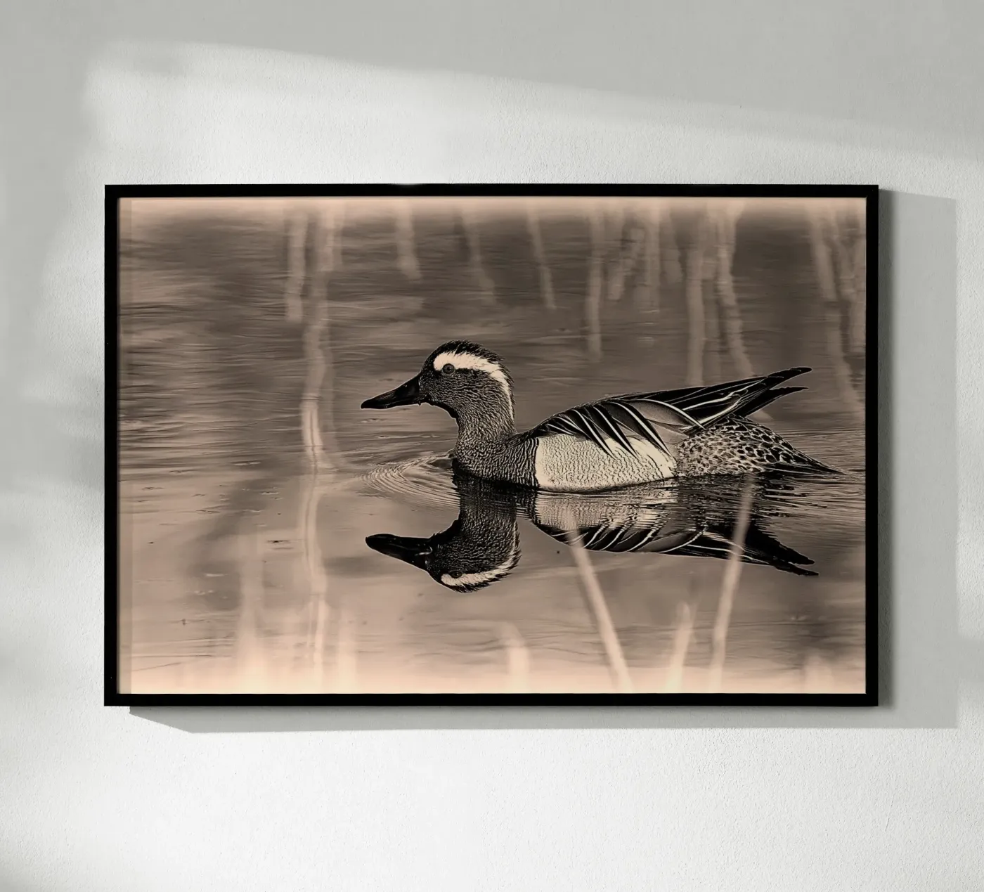 BW78 poster da Thierry vobmann photography