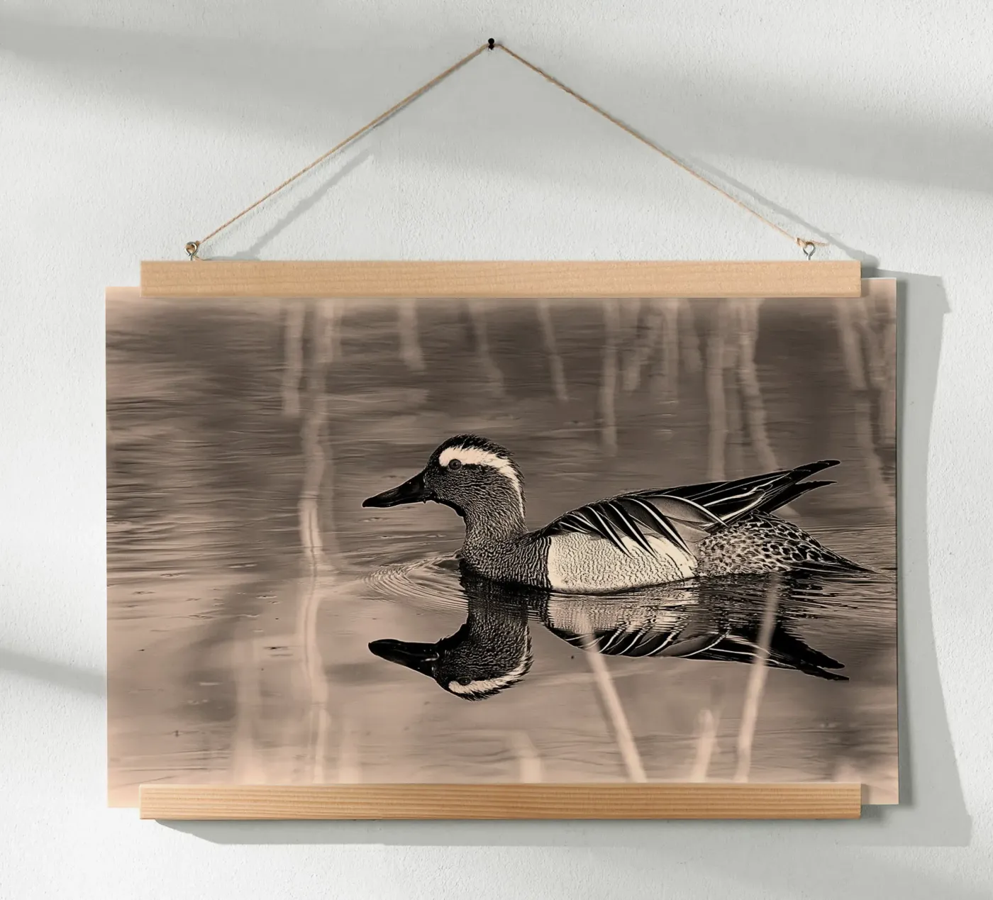 BW78 poster da Thierry vobmann photography