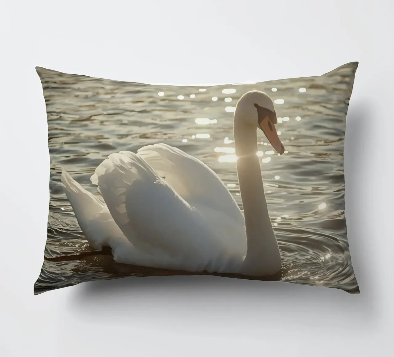 Cigno bianco sull'acqua con riflessi di luce solare cuscino da DesignDoodle