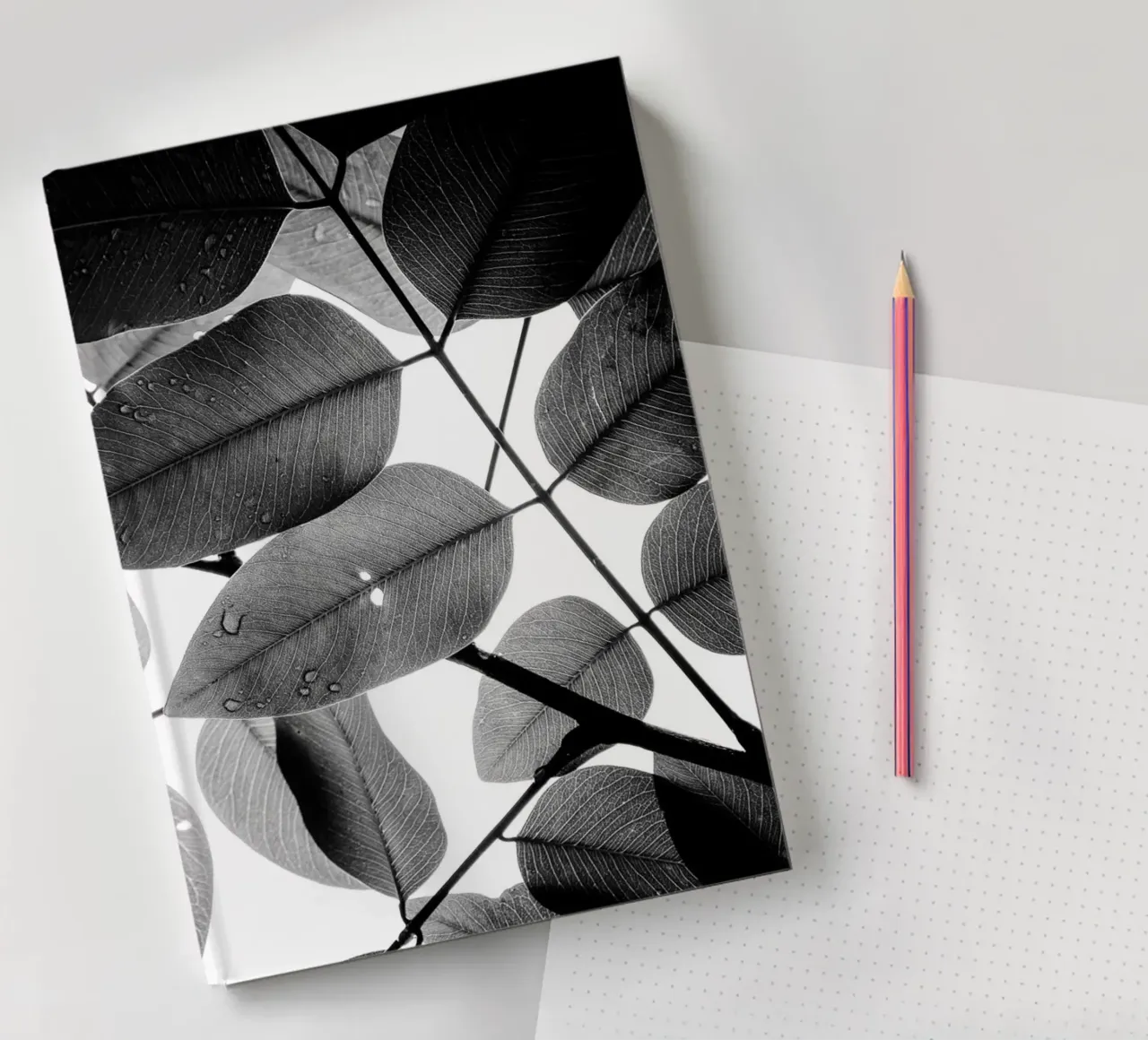 Experiments with Leaves I notebook by Tal Paz-Fridman