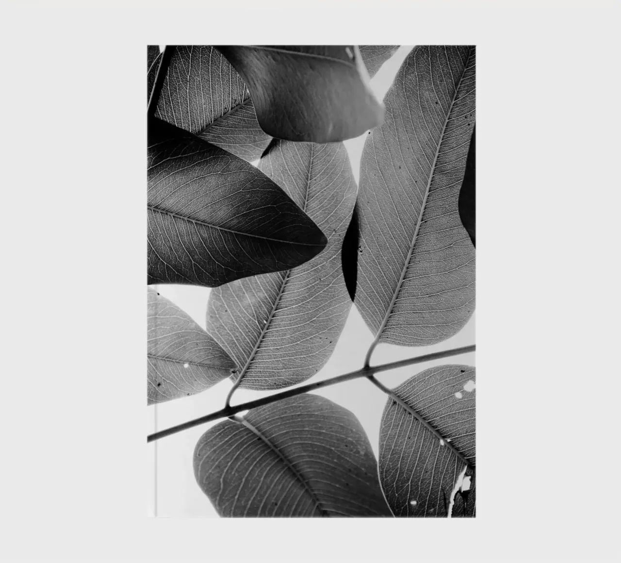Branches and Leaves, 2016, 3 notebook by Tal Paz-Fridman