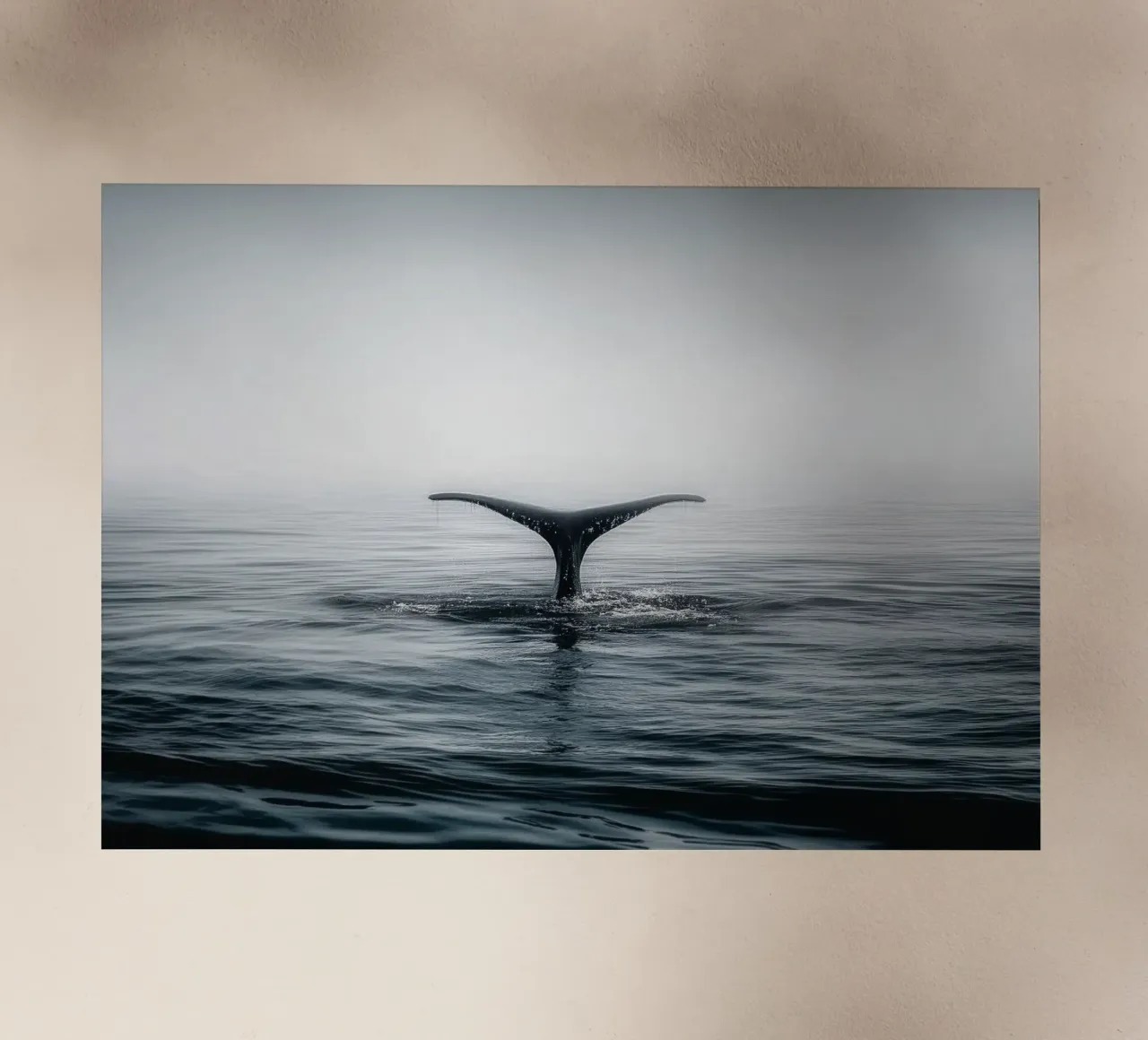 Minimalist Whale Tail – Ocean Photography-Inspired Print pellicola backlit da Vela Luna
