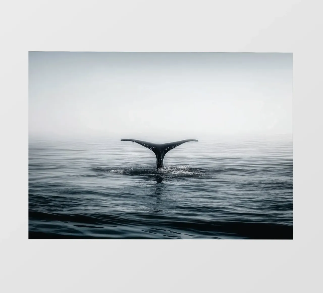 Minimalist Whale Tail – Ocean Photography-Inspired Print pellicola backlit da Vela Luna