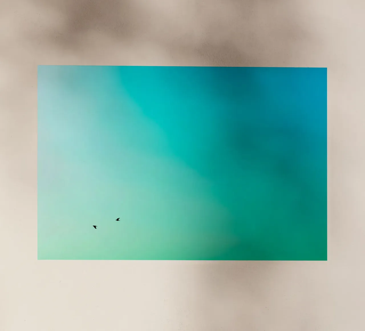 Su e giù pellicola backlit da Tal Paz-Fridman